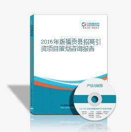 2016年版福貢縣招商引資項目策劃咨詢報告 精準定位與高效服務的實踐指南