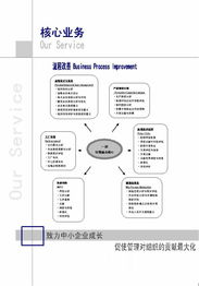 流程改善咨詢項目 企業提質增效的智能引擎